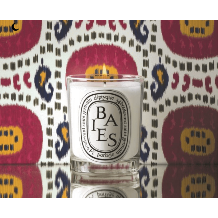 Свеча ароматическая 190 г Baies / Berries Diptyque